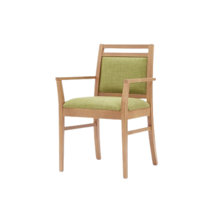 Lulu Dining Chair With Arms