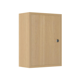 Small Medical Locker in Cashmere