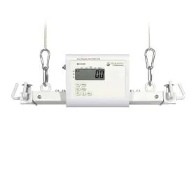 Hoist Scales