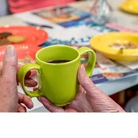Plastic Tableware