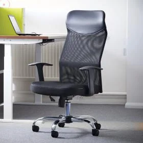 Desk Chairs